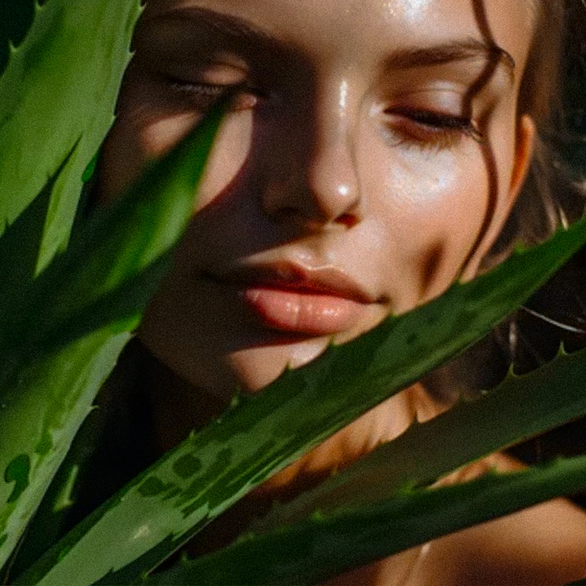DIY Spring Glow-Up Aloe Vera Facial Mask