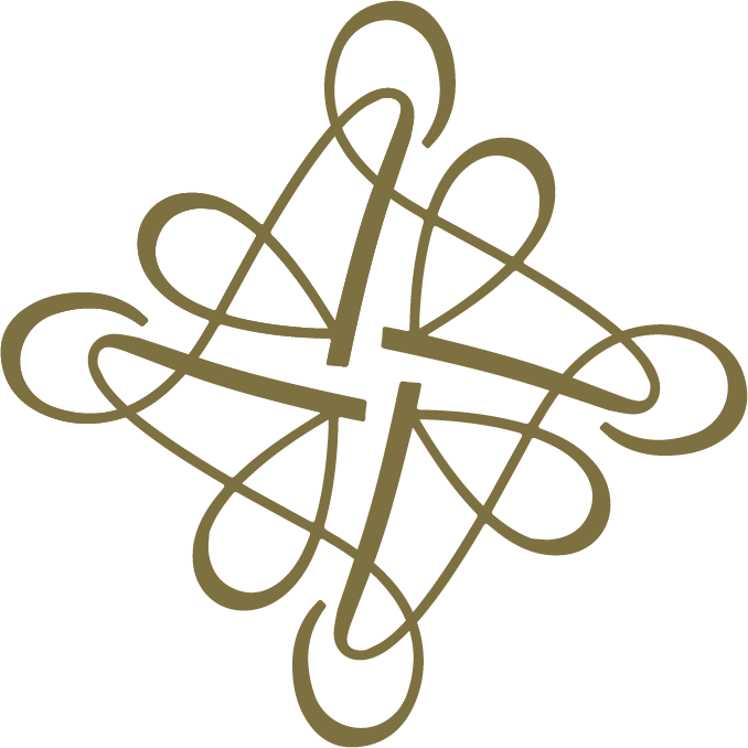 Anoki logo