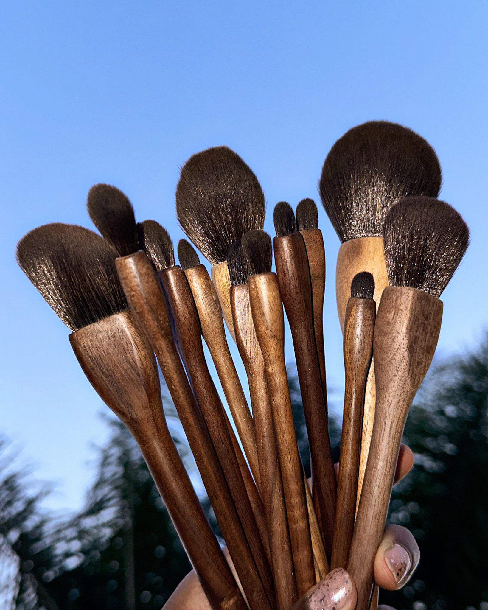 Black Walnut Makeup Brush Set