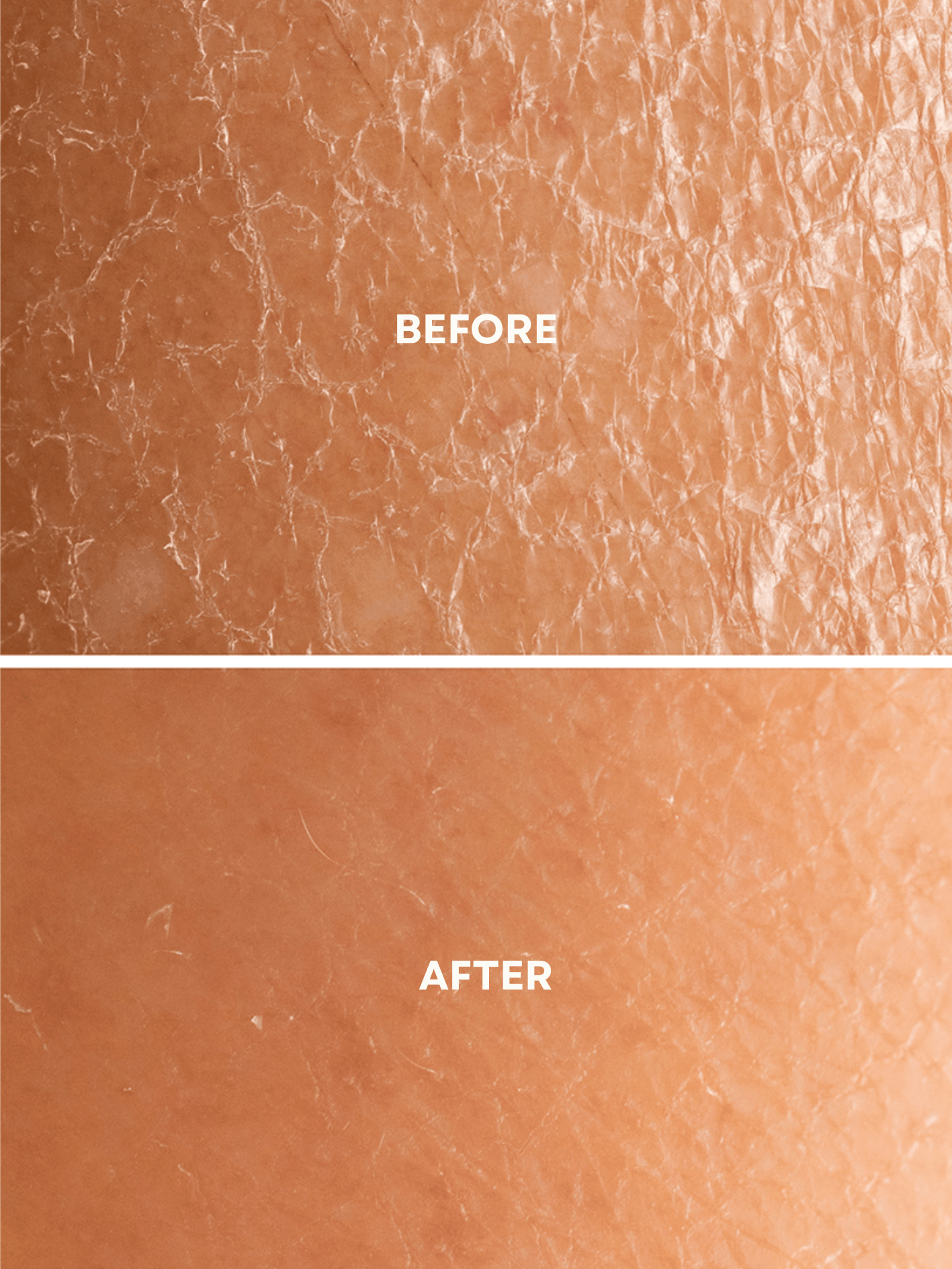 Honeysuckle Body Lotion