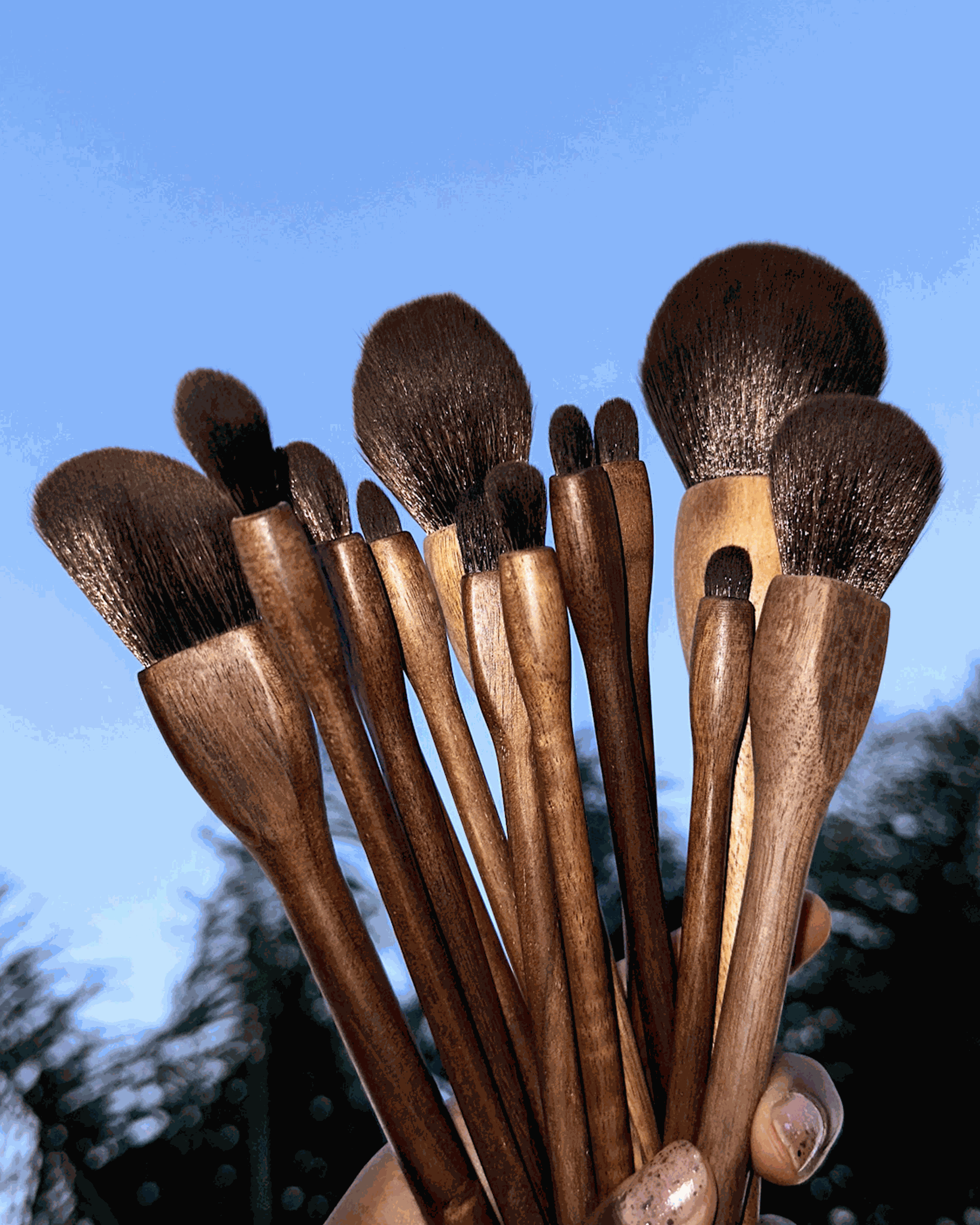 Black Walnut Makeup Brush Set - Anoki Beauty