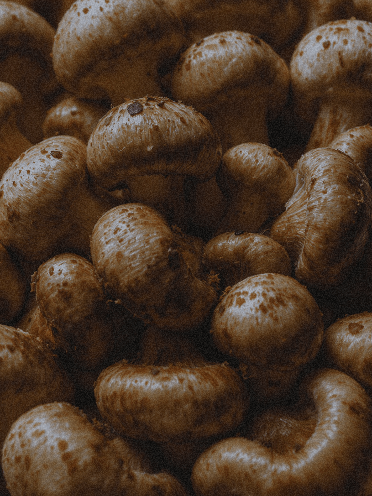 Dark Spot Defense: Layering Ingredients That Work Together - Anoki