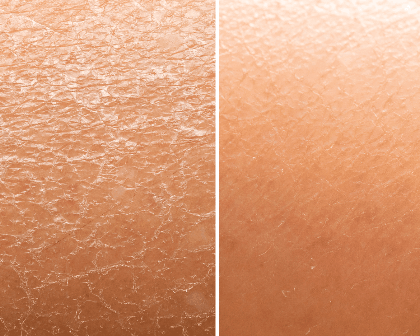 Lavender Body Lotion - Anoki Beauty